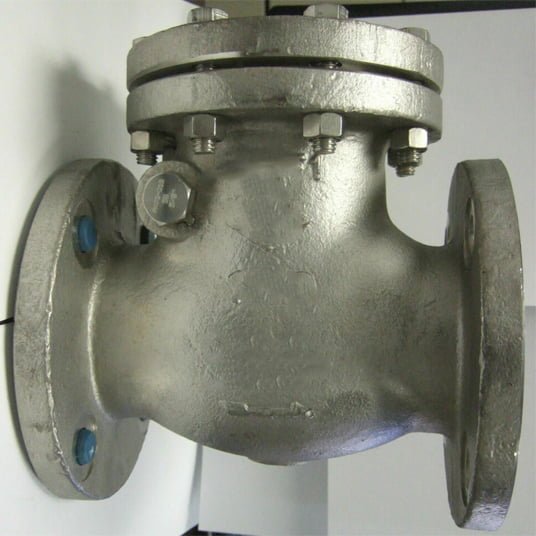 Stainless Steel Check Valves