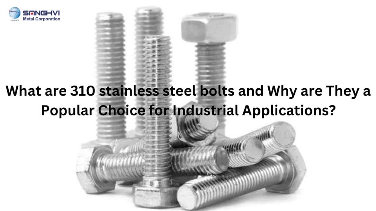 310 stainless steel bolts