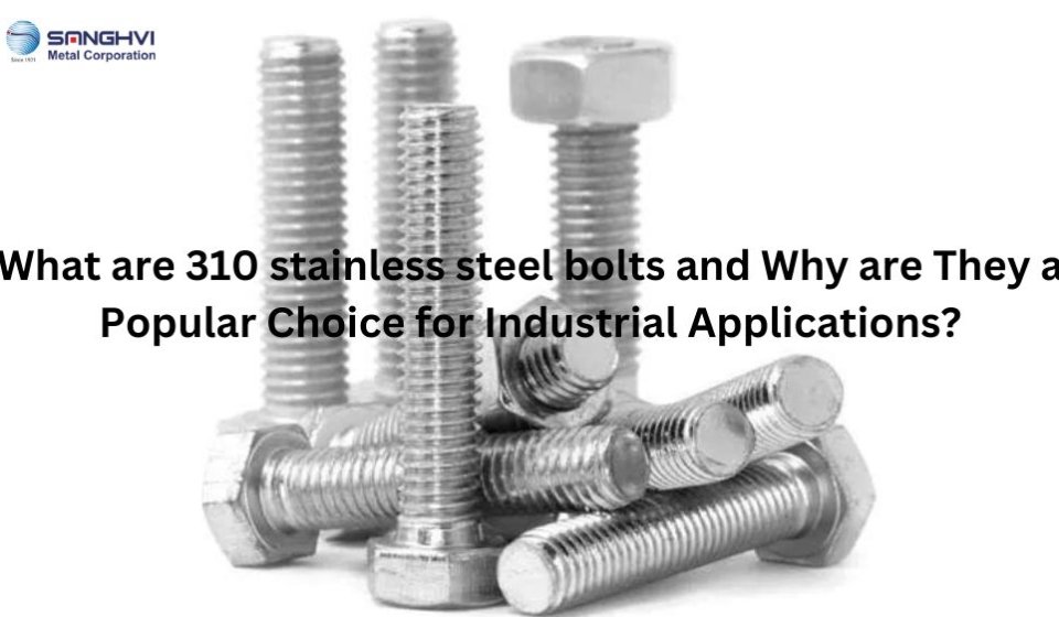 310 stainless steel bolts