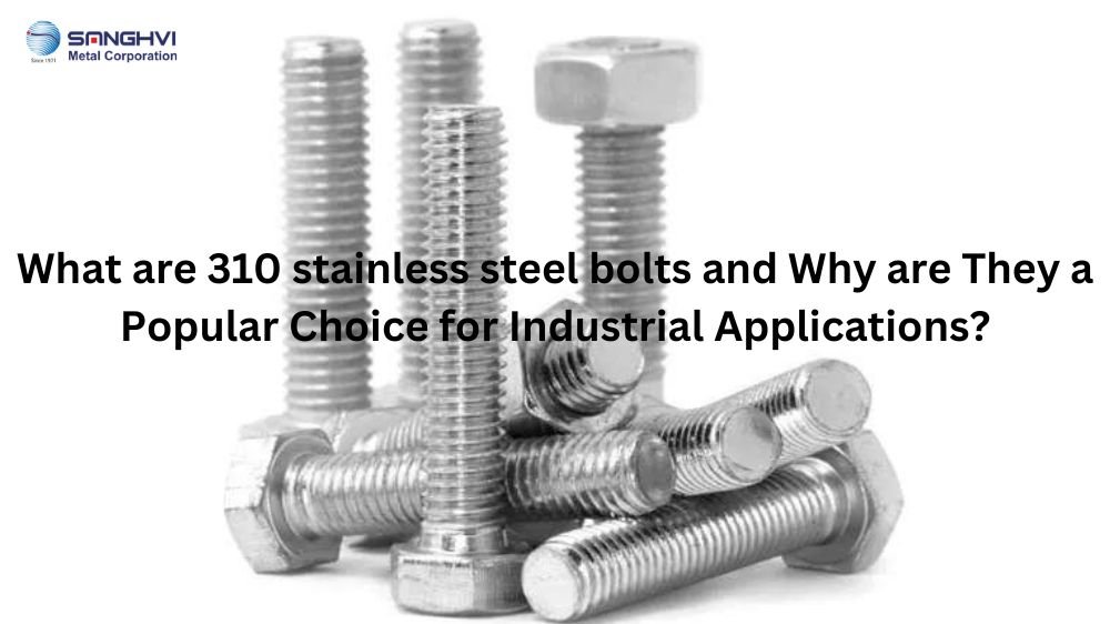 310 stainless steel bolts